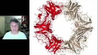 Cinelecture 81 - DNA Replication 2