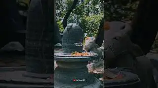 Mahashivratri status video 💫 shivratri status ☘️ Shiv Parvati status&nbsp;#mahadev #shorts