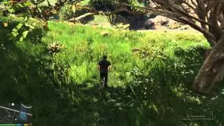 Vegetation Overhaul - Gta 5 Mod