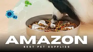 Slow Feeder Dog Bowls 🐕🍽️ | Prevent Bloating & Promote Healthy Eating!