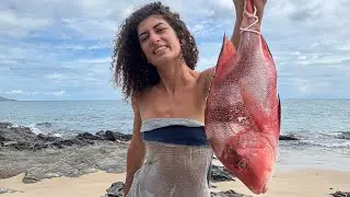 Ultimate Survival | Catching Red Emperor & Building Shelter with Bushcraft Skills | wild Girl