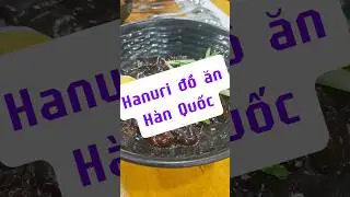 Ăn qu&aacute;n g&igrave; #25 Hanuri đồ ăn H&agrave;n Quốc #T&ecirc;Vlog #Hanuri #đồănH&agrave;nQuốc #ănqu&aacute;ng&igrave;