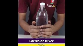 Cartesian Diver | #ThinkTac #DIY #DIYscience #YouTubeShorts #Shorts