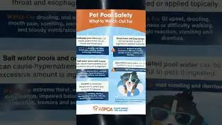 Pet Pool Safety Tips! This summer, Keep your pets safe around water. #cooperschance #pets