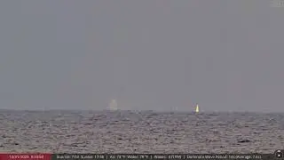 31st of Dec 2025 - Humpback Whale fin slapping the water surface