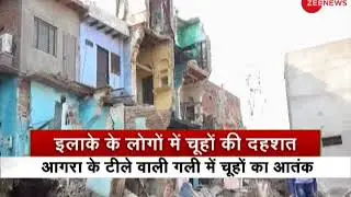 Watch: 3 Stories Building Collapse in Agra