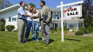 Real Estate Agency Website Design + MEGA PACKAGE