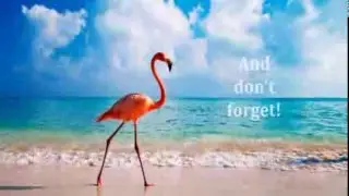 M.A.C Flamingo park theme day!