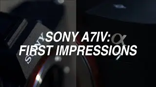 The Sony A7IV: My First Impressions