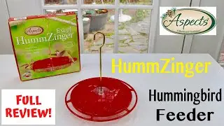 ASPECTS  HUMMZINGER ❤️    Hummingbird Feeder - Review ✅