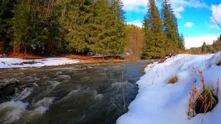 Spring, nature awakens, the snow melts