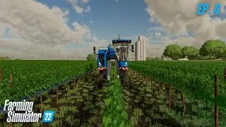 Building the ULTIMATE Vineyard in Farming Simulator 22 | Ep. 4