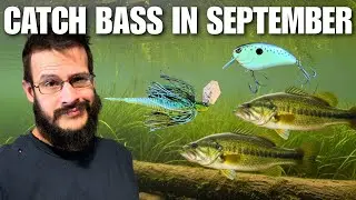 The Best September Bass Baits (And When to Use Each One)