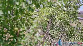 Been Looking for 100 Acres? Self Sustainable Living? Close to Stanthorpe?