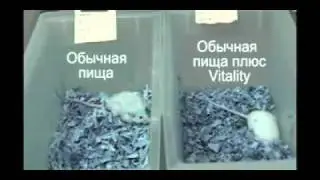 Жить 120 лет - возможно! Nu Skin ageLOC Vitality