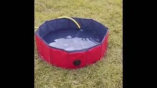 Swimming Pool (Foldable) for Dogs | HappyDog