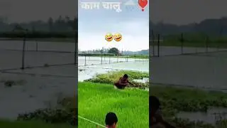 BA. pass walo ke liye job chalu 🤣🤣 #shorts #shortvideo #funny #comedy #funnyvideo #ytshorts #myvideo