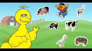 Sesame Street: Journey To Ernie Clue Hunt