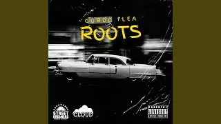 Roots