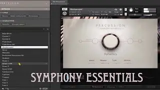 SYMPHONY ESSENTIALS - PERCUSSION INSTRUMENTS