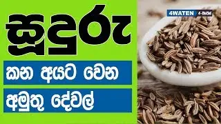 සූදුරු කන අයට වෙන අමුතු දේවල් : Health benefits of Caraway seeds