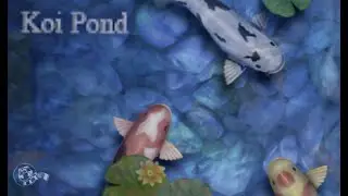 Koi Pond (2008) - App Gameplay