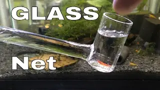 3D & GLASS Shrimp Nets for the Aquarium