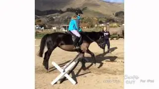 Heathcote Valley Riding School is amazing!