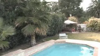 Cobra Crane II Demo