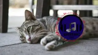 Twin Musicom - Canon and Variation [Holiday] (Loop)