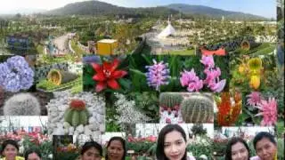 Wedding_หมอรัตน์และโอ