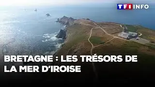 Bretagne : les trésors de la mer d’Iroise
