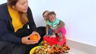 The little monkey be like eating fruit orange so cute.