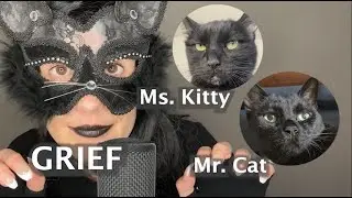 CAT ASMR Pet Grief #pets #grief #sad #love #asmr #support