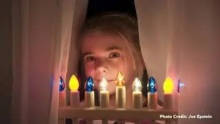 TRAILER: The Net Will Appear