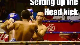 Setting up the head kick KO (Danny Millet)