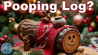 10 Bizarre Holiday Traditions from Around the World!