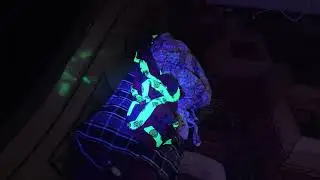 UV torch light review 