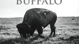 I Can't Breathe - Iron Buffalo