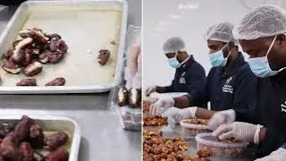 How We Make Premium Dates | Quality Testing, Expert Team & Fast Delivery