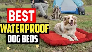 ✅Top 5 Best Waterproof Dog Beds 2025