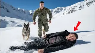 Navy SEAL Rescue Dog Story &ndash; A Winter Rescue That Exposed a Buried Military Secret