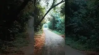 FOREST IN DELHI | #running at #jahapanah #forest #delhi | #morning #vlog