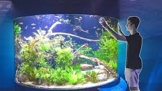 INSANE AQUARIUM EXHIBIT!!! - 🤯