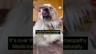 What To Do About Pets Stress & Anxiety | Dr. Goel's Stressza | #shorts #shortsvideo #viral #youtube