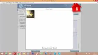 Safeguard Web Platform WO Processing Demo