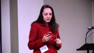 Izabela Lundberg - Risk Management: Lose Credibility