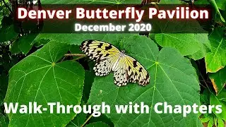 Denver Butterfly Pavilion Full Walk-Through December 2020