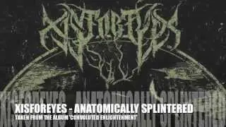 XISFOREYES - ANATOMICALLY SPLINTERED // NEW SONG 2015