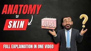 Skin Anatomy & Physiology | Layers (Epidermis & Dermis) + Functions | Made Easy